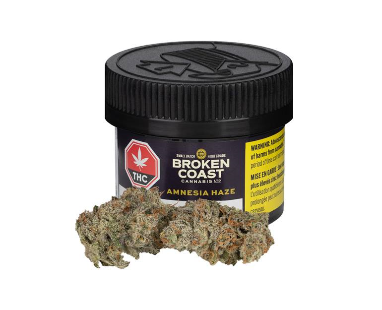 Amnesia Haze - 3.5g - Broken Coast