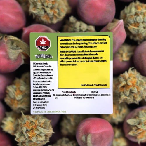 Pink Plum Kush - Feminized Autoflower - Weathered Islands Craft Cannabis