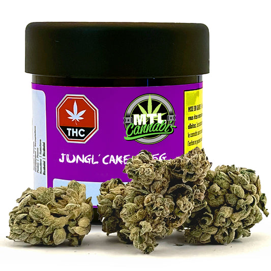 Jungl' Cake - 3.5g - MTL Cannabis