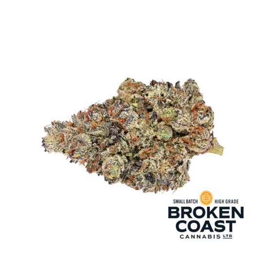 Holy Grail - 28g - Broken Coast